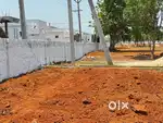 Pedamusidivada ki athi cheruvalo vuda plots