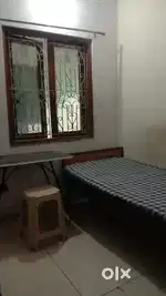 Boys pg in Alpha 2 greater Noida