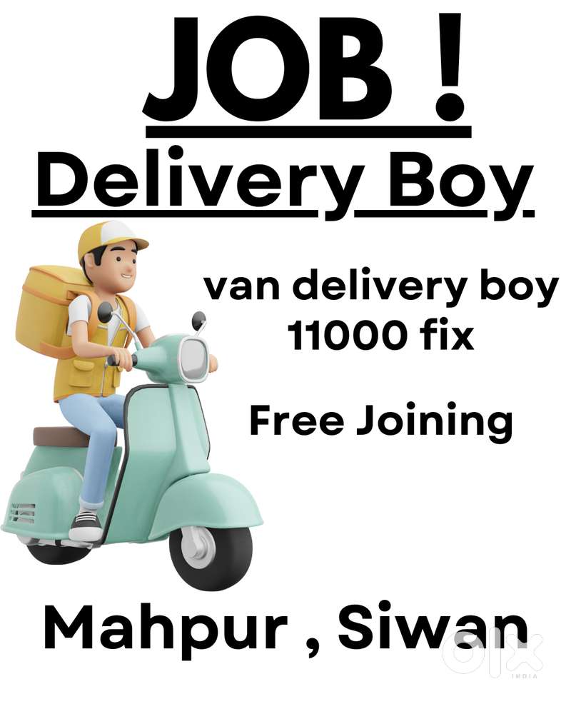 Van Delivery Boy