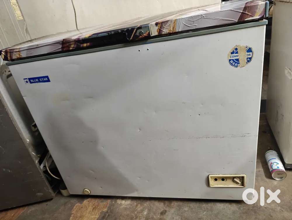 Blue Star 350 ltr Deep freezer