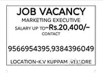 MARKETING EXECUTIVE