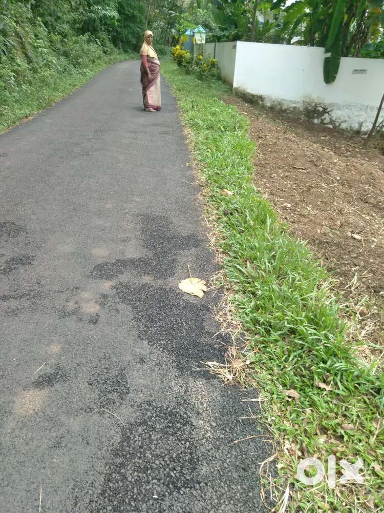 10 cent plot for sale