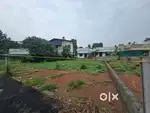 3 Cent Purayidam Plot for Sale – Neericode, Near Kongorpilly, Varapuzh