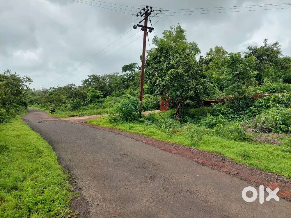 Farm house plot near Dapoli, konkan