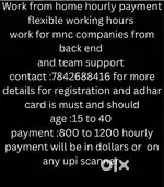 New work from home job oppotunity