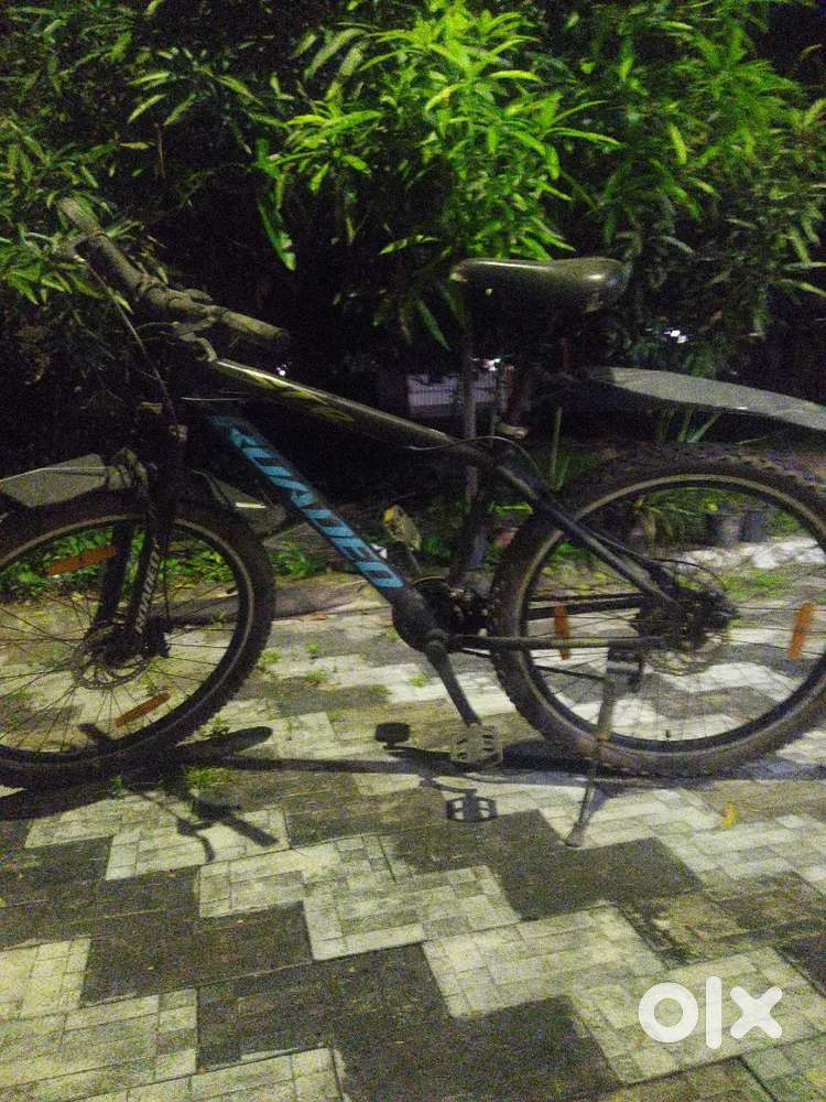 3.5 yr old ROADEO Gear cycle