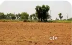 Land sale 3, 4, 6, and 7 cents in Ambagilu udupi for 7 L per cents