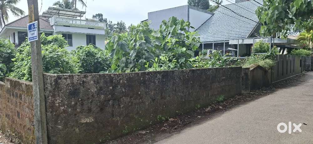 6 CENTS HOUSE PLOT FOR SALE IN THRIKKAKARA.