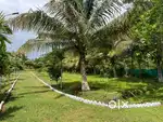 Premium luxurious agricultural land