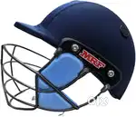 HEALMEAT OF CRICKET