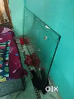 Dining table glass