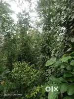 വീടും സ്ഥലം വിൽപ്പനക്ക് മണിമല