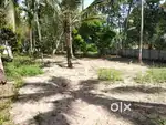 15 CENT FOR RENT NEAR KALUMOODU JN.
വാടകയ്ക്ക് കല്ലുംമൂട് ജംഗ്ഷനടുത്ത്