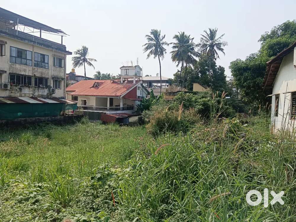 14 cents land in prime location kankanady Mangalore Karnataka