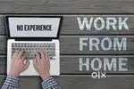 Work from home job
