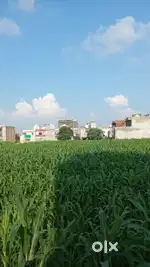 Corner Plots for sale in it city mohali sec82 near amity university