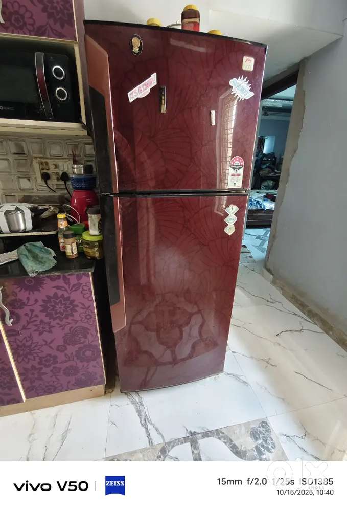 Godrej Double Door Refrigerator