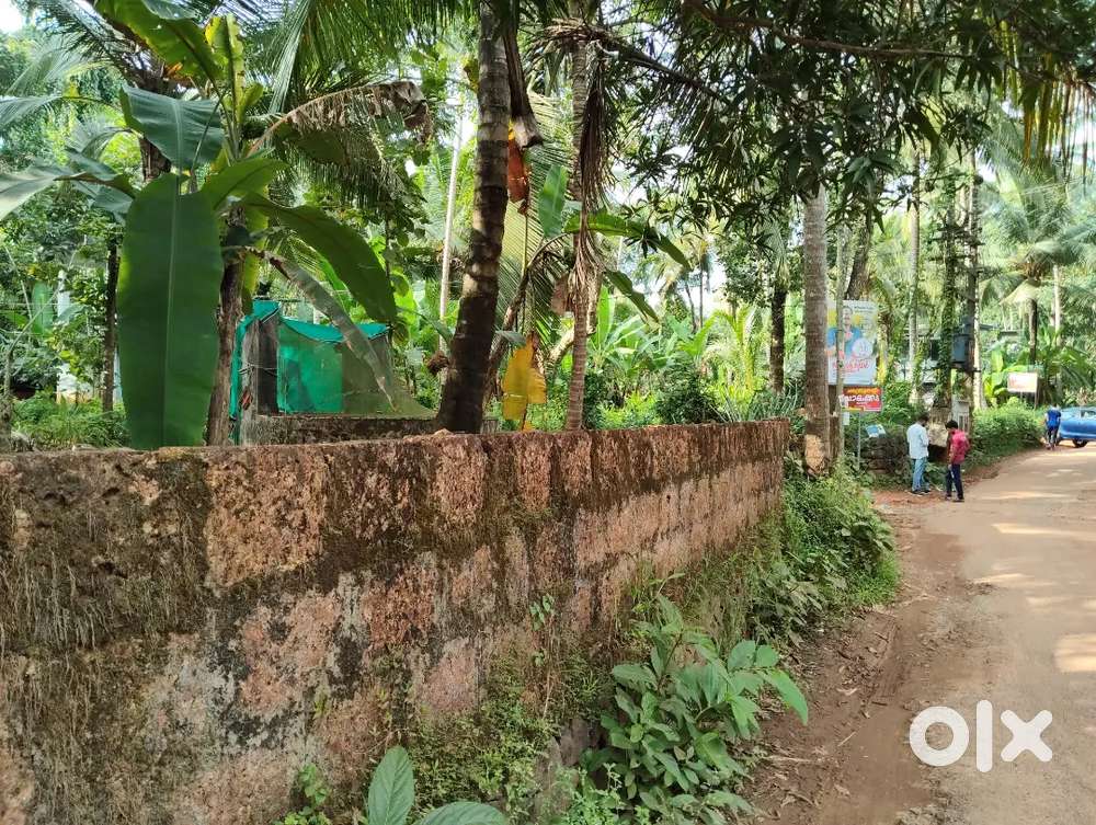 Plot for rent near national Highway