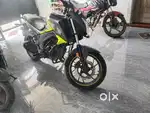 Hornet top condition