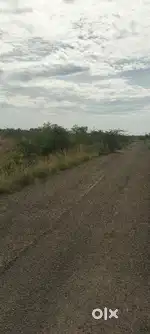 Agriculture forming land for sale