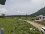 Residential/investment plots available.