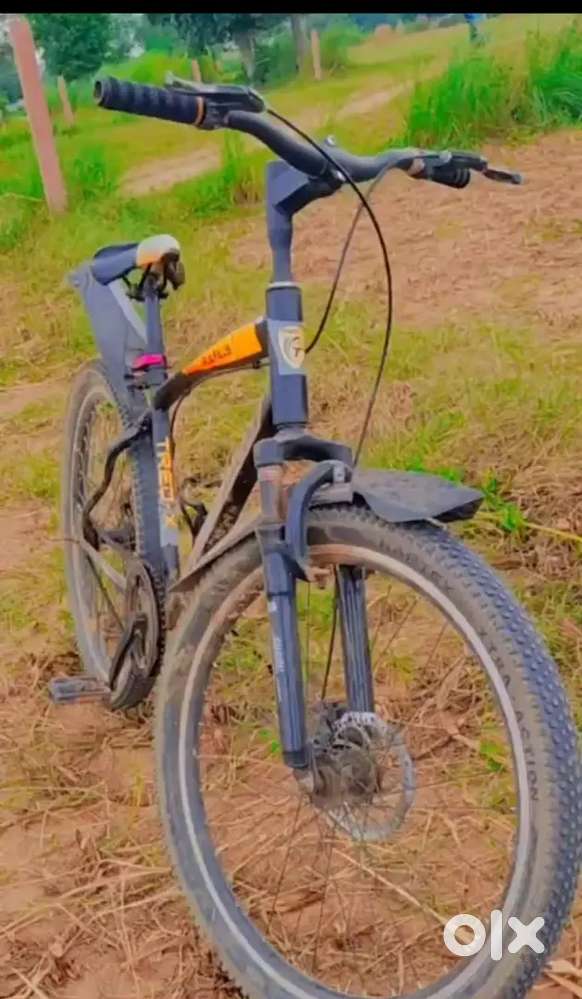 New cycle only 1 year old cycle