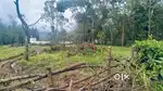 3 Acre Residential Converted Land – Chikkamagaluru City