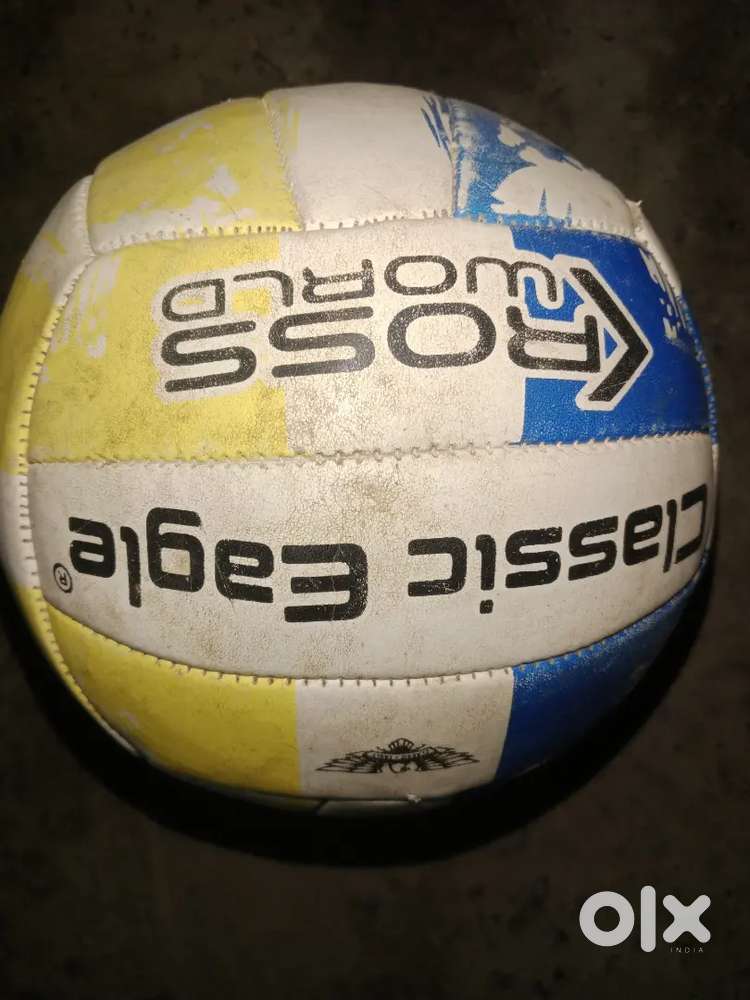 Classic eagle volleyball