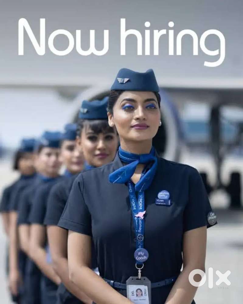 Indigo Airlines jobs /Vacancy for Airport Ground staf / Driver / Crew