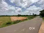 Road Facing Plot Suitable for FarmHouse Red Soil 26 GUNTA's