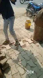 जुनेदगंज से भंवरनाथ रोड से बाएं हाथ चकमार्ग से 200m अन्दर है