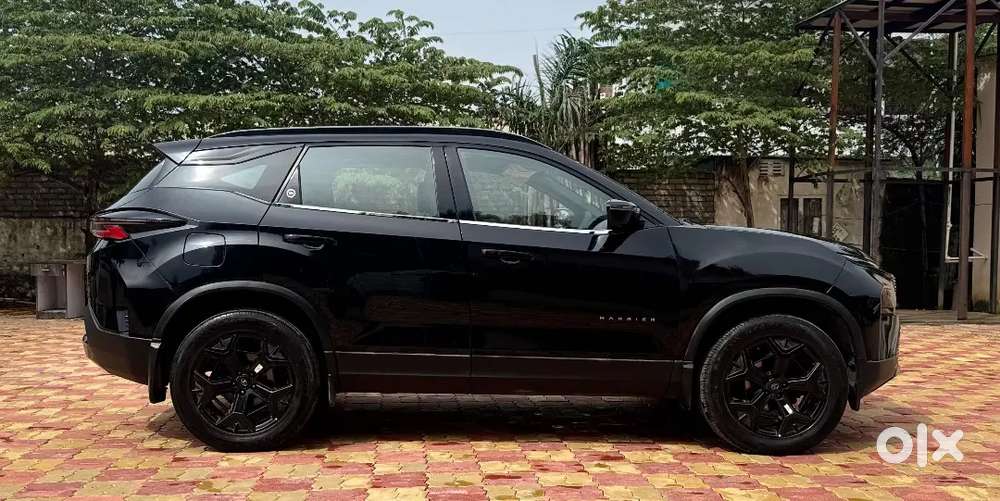 Drivers anytime driver on rent