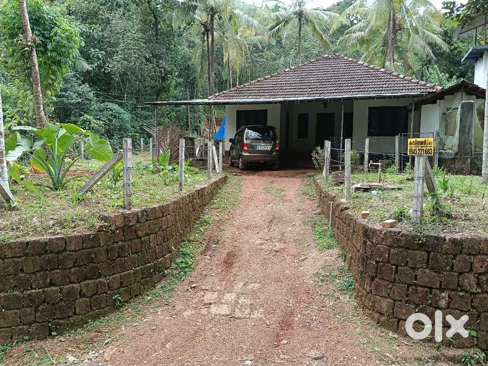 12cent House and Plot for sale roadside