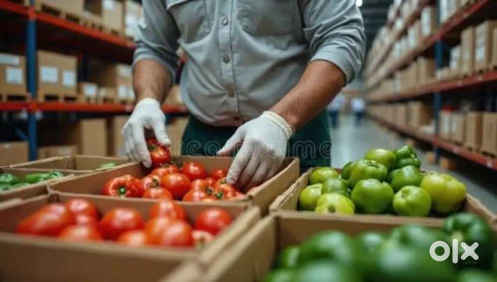 Wanted m/ f helpers/ packing