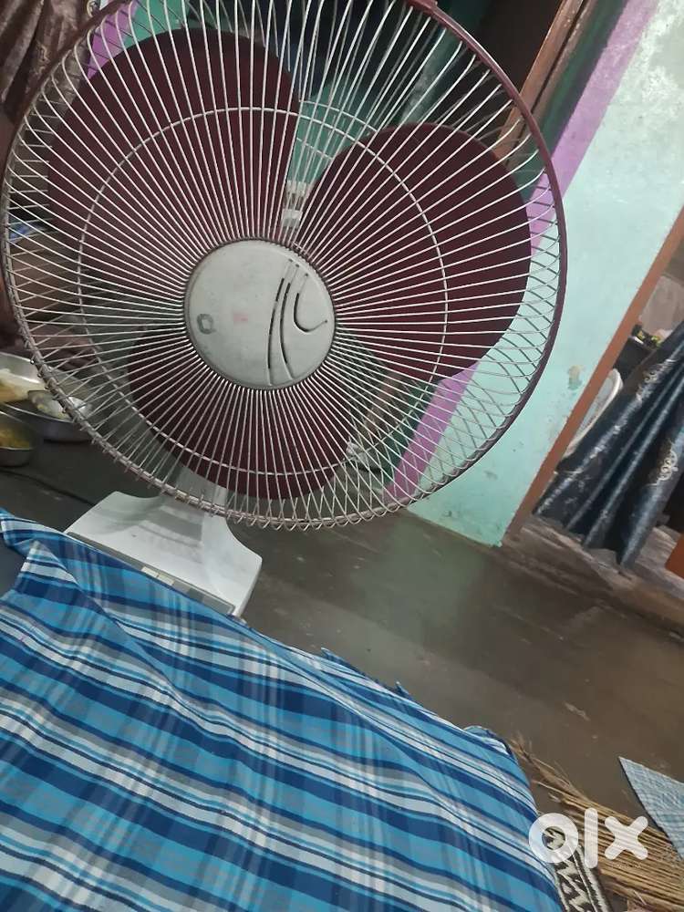 Fan for sale