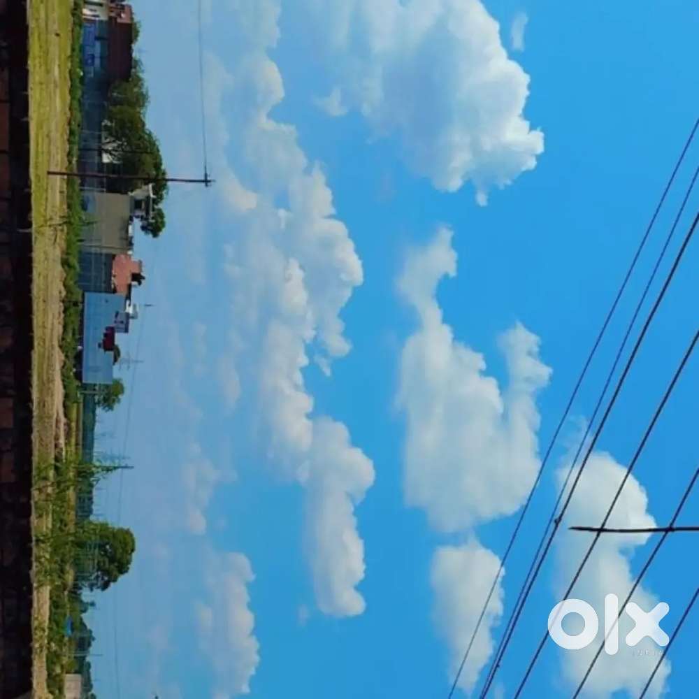 Need a bachelor flatmate