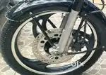 Mudguard,lion Brass And Bullet brass plate