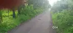 Agriculture Land for Sale in Mangaon Nijampur Road