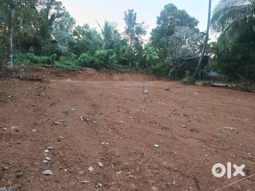 15 cent Residential plot at Cherakkaparamba, Angadippuram