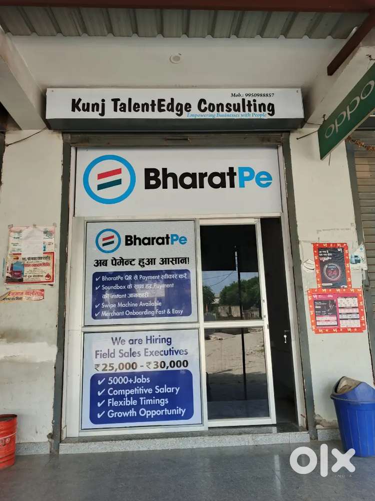 Bharatpe hiring  sales executive fix salary modal
