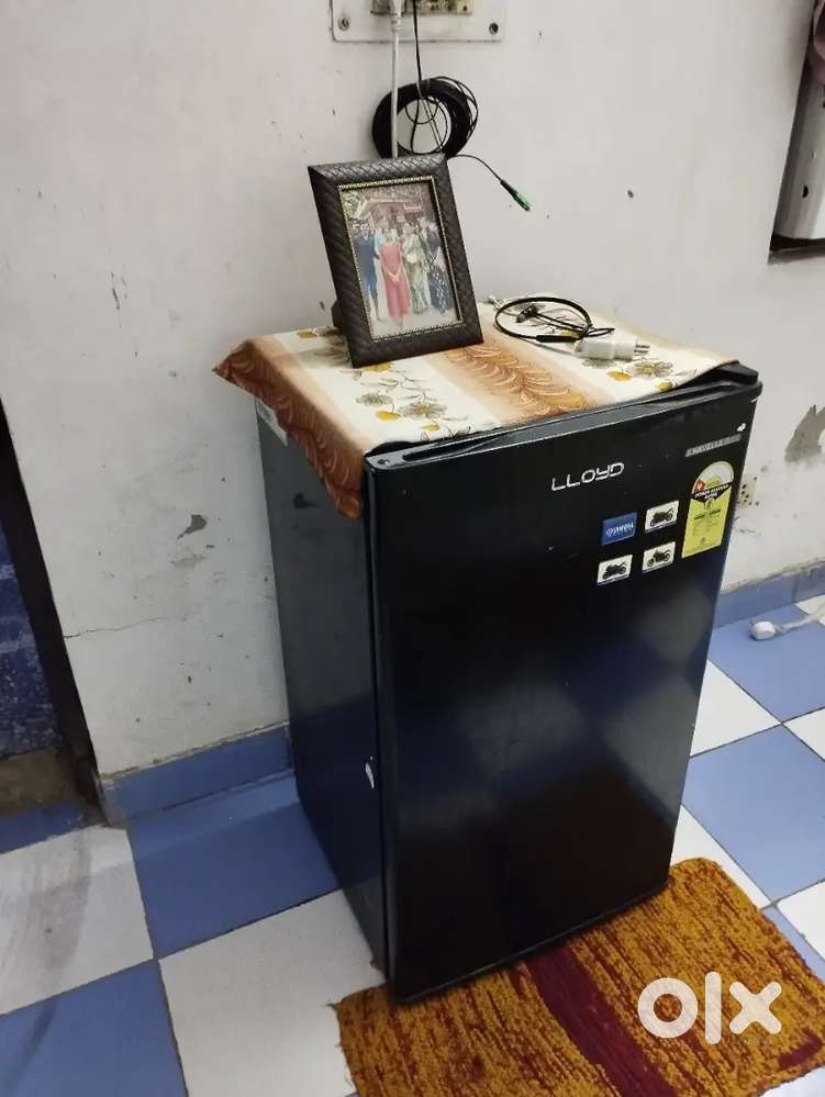 Lloyd Havells Brand of fridge of 93 litres purchased on June 2024