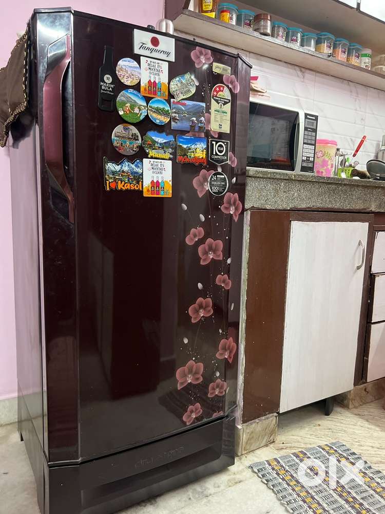 Godrej Fridge 195 ltr