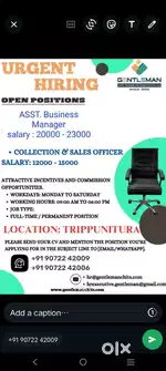 collection executive