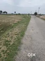 Farming land sale