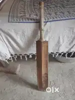 Cricket bat