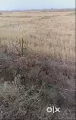 Affordable Residential & Commercial Land Near NH-19, Sasaram