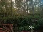 Land price -1lakh/cent