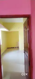 Bachelor allowed 1