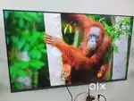 Warranty + Guarantee 32SMART ANDROID LED TV 1GB RAM 8GB ROM WIFI