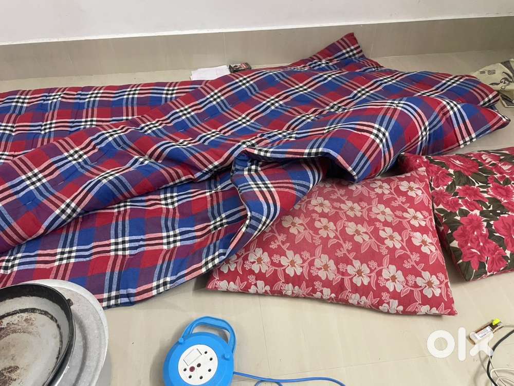 2 single matress/ 2 pillow